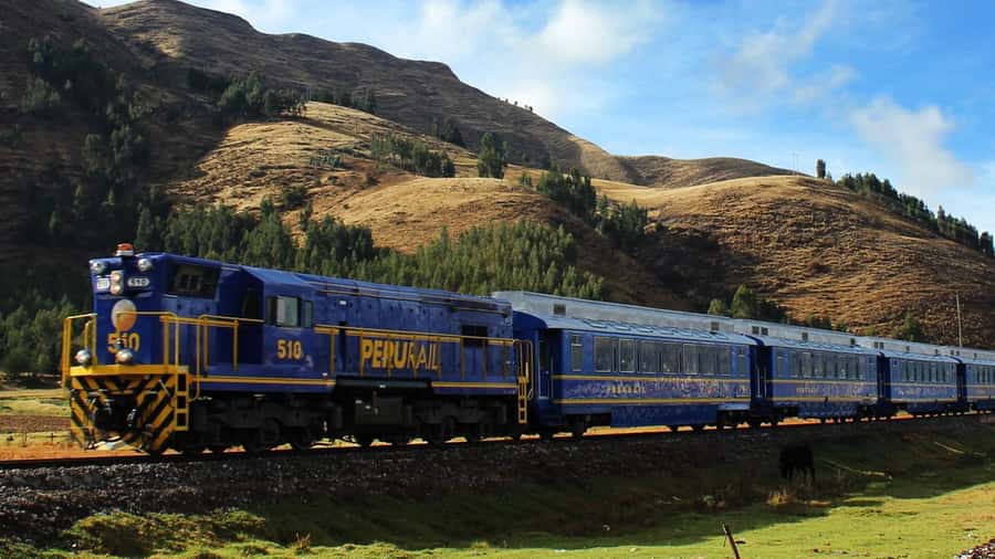 From Cusco: 1-day Machu Picchu Tour by Train - The experience in plain terms: train first, ruins second