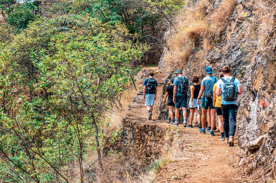 From Cusco: 4-Day Inca Jungle Adventure to Machu Picchu - Fitness, altitude, and health: who should take this and who should not