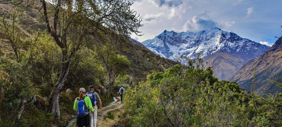 From Cusco: 4-Day Salkantay Trek with Meals & Equipment - Day 2: Soraypampa to the Salkantay Pass, then down to Chaullay