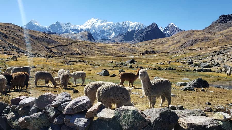From Cusco: 7 Lakes of Ausangate Full Day Tour - Pacchanta hot springs: your warm reward after the hike