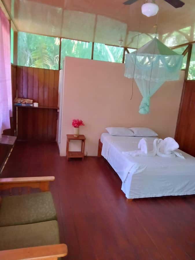 From Cusco: Amazon jungle for two days with sleeper bus and private lodge - Wildlife You Can Expect, and How to See It Better