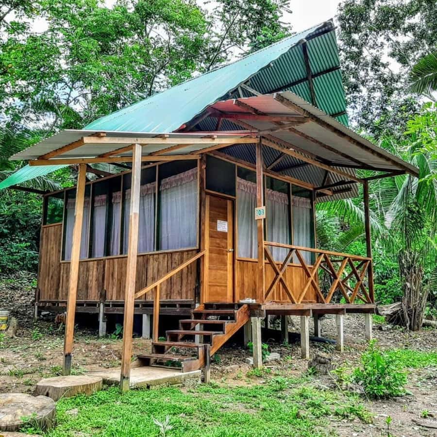 From Cusco: Amazon jungle for two days with sleeper bus and private lodge - Price and Logistics: The Value Case for $409