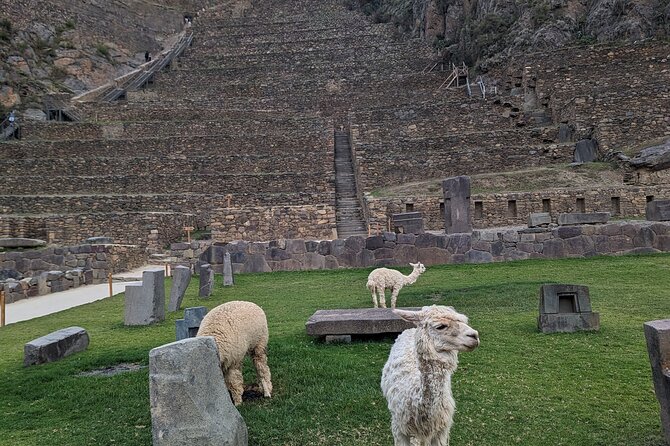 from Cusco:Chinchero,Moray & Salt Mines drop-off in Ollantaytambo - Lunch in Urubamba, 45 minutes to refuel