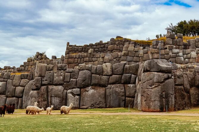 From Cusco City Tour Four Ruins Half Day Tour - Group Size, Bilingual Guide, and Keeping the Day Smooth
