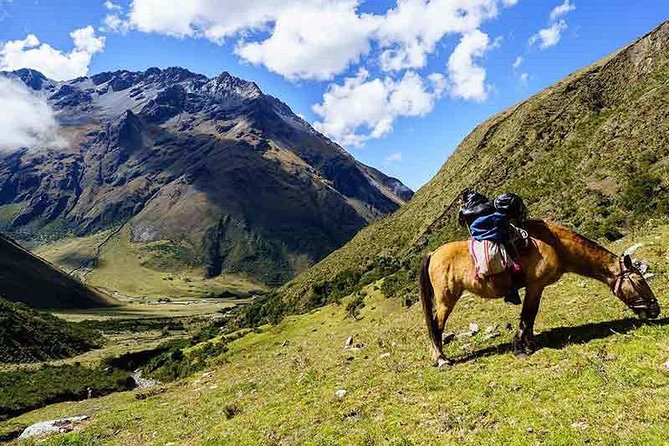 From Cusco: Humantay Lake with Breakfast and Buffet Lunch - Who this Humantay Lake tour suits best