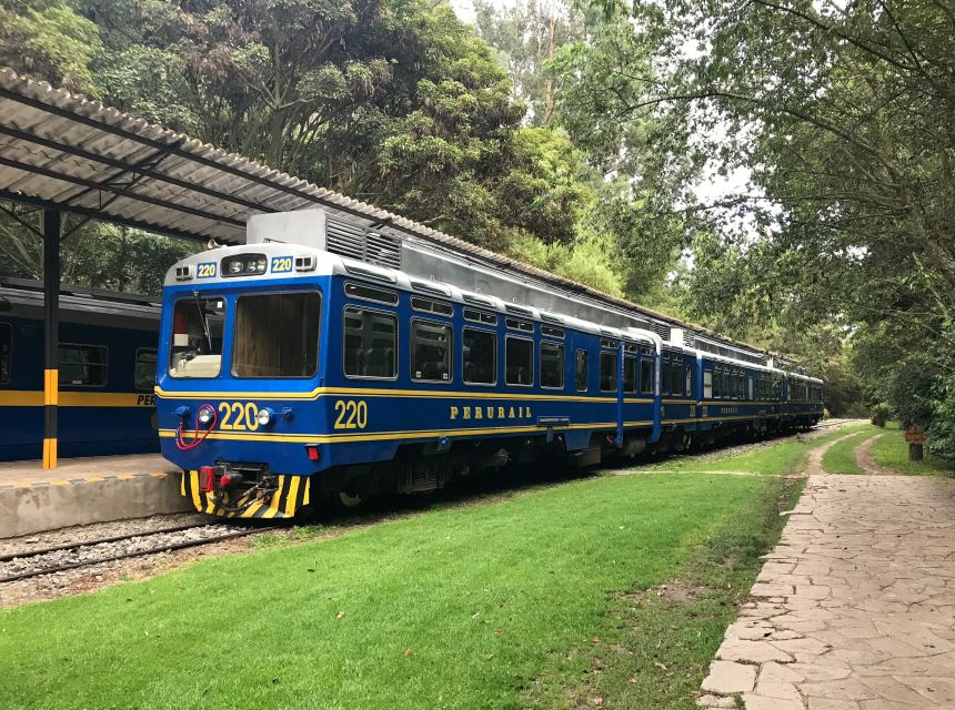 From Cusco: Machu Picchu Private Day Trip on Panoramic Train - Panoramic Vistadome versus Standard train: what you actually gain