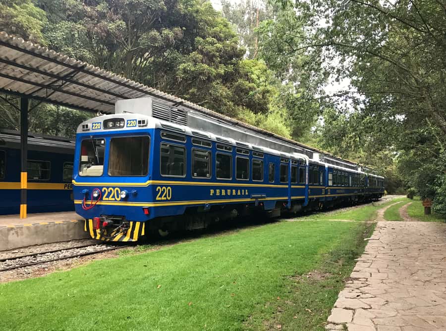 From Cusco: Machu Picchu Private Day Trip on Panoramic Train - Aguas Calientes to Machu Picchu: the bus ride that sets the rhythm