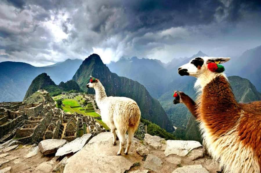 From Cusco:MachuPicchu Excursion 1 day plus Ticket and Train - Key things that make this day trip work