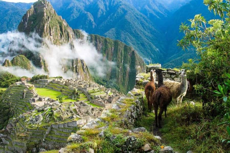 From Cusco:MachuPicchu Excursion 1 day plus Ticket and Train - Bus to the entrance of Machu Picchu: timing, altitude, and why the guide matters