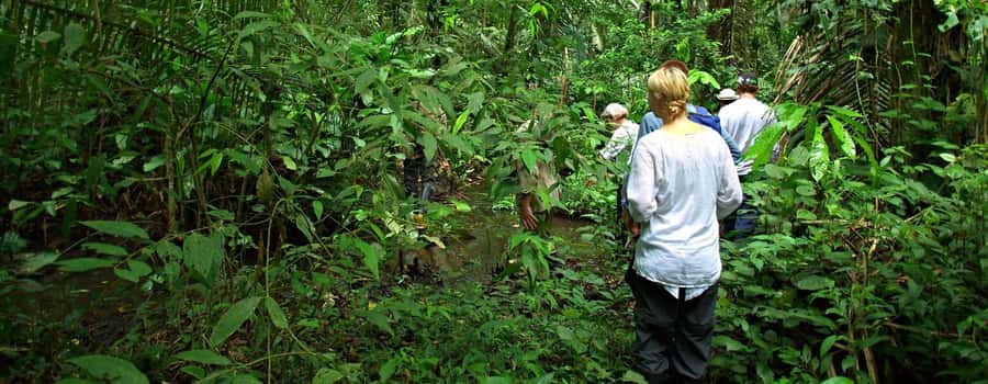 From Cusco: Manu National Park 3 Day Tour - Why the Manu National Park 3-day route makes sense from Cusco