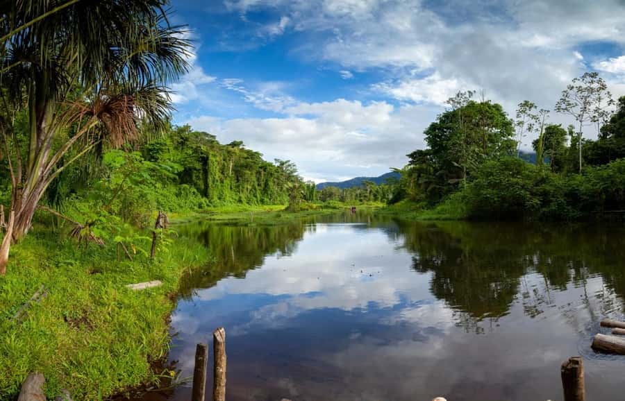 From Cusco: Manu National Park Tour & Accommodation 3 Days - Who This 3-Day Manu Tour Really Fits