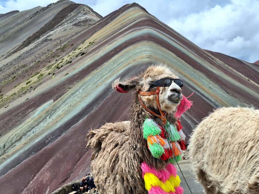 From cusco: Rainbow Mountain ATV Tour with meals - First Look at the Colors: The Early Arrival Advantage