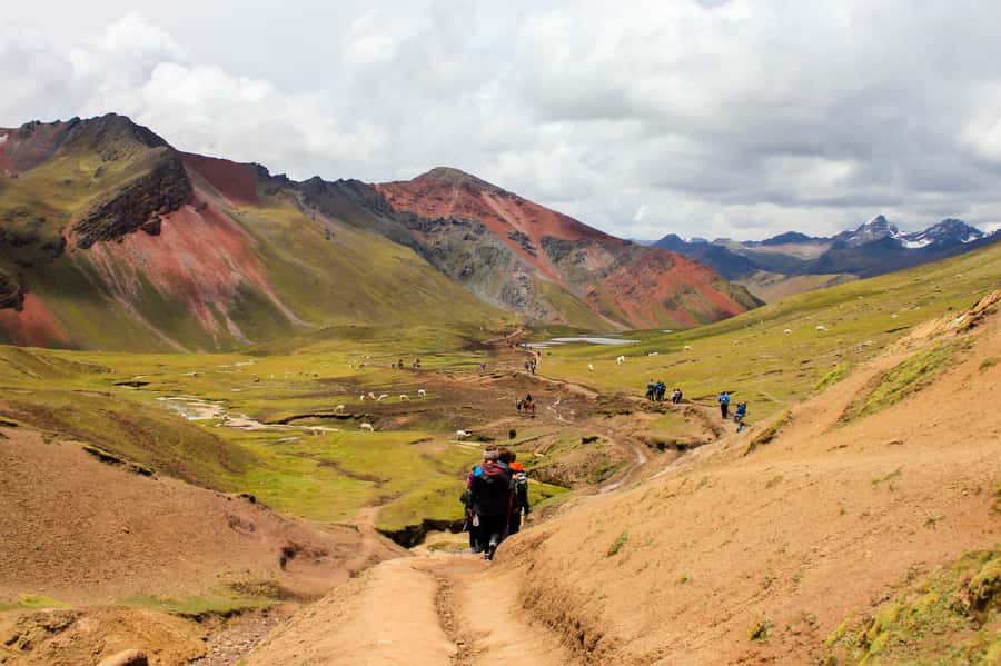 From Cusco: Rainbow Mountain Trek - The Trek Phase: Alpacas, Llama Herds, Red Mountains, and Ausangate