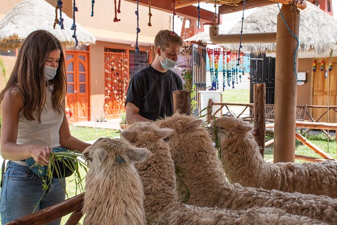 From Cusco: Sacred valley and Moray salt Mines - Key highlights worth planning for