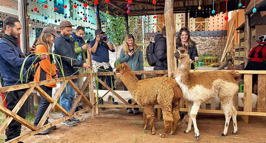 From Cusco: Sacred Valley & Maras Salt Mines Tour with Lunch - Key things to know before you go
