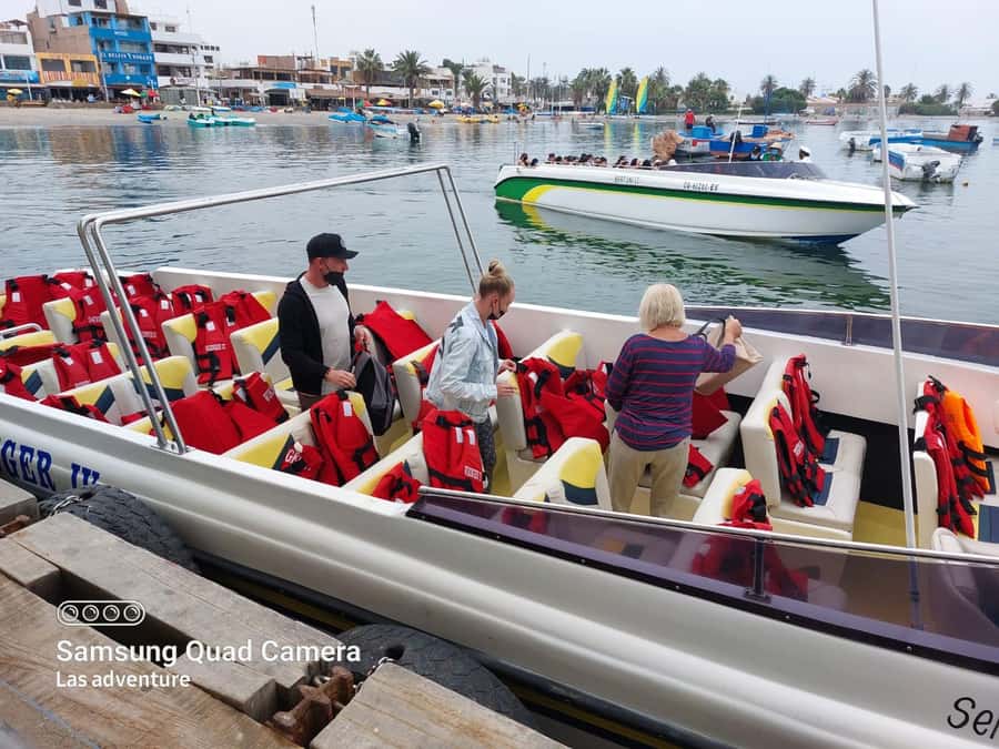 From Huacachina: Ballestas and Paracas Reserve - GROUP TOUR - Who this Ballestas and Paracas group tour fits best