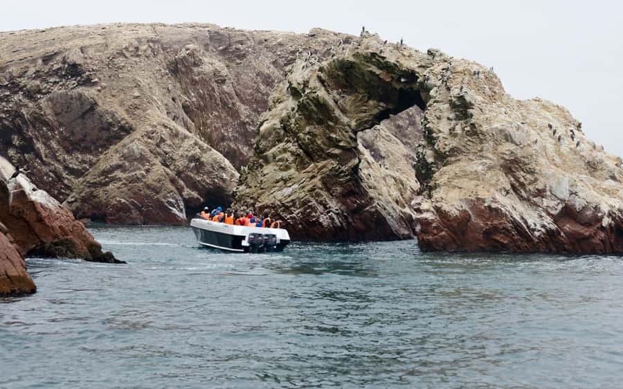 From Huacachina: Ballestas and Paracas Reserve - GROUP TOUR - On the water: Ballestas Islands speedboat, sea lions, penguins, and the clock