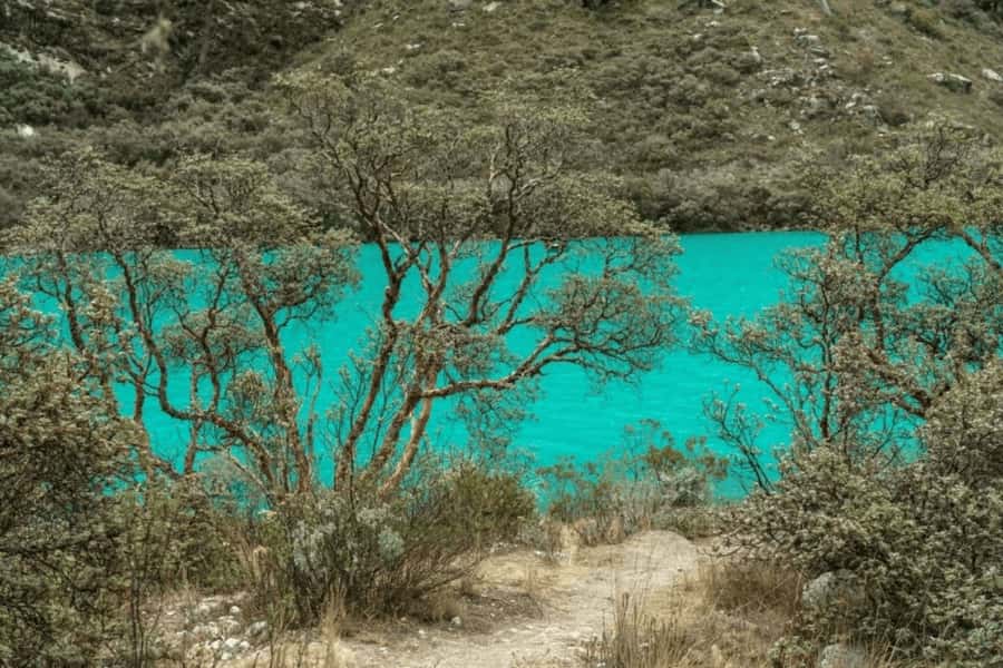 From Huaraz: Tour to Llanganuco Lakes (Chinancocha Lake) - Practical tips to make the most of the day