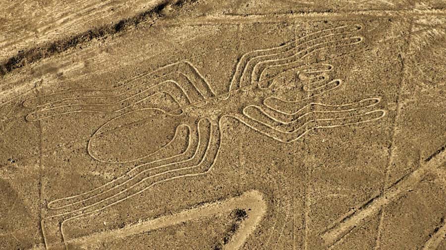 From Ica: Flight over the Nazca Lines - Key Points Worth Knowing Before You Go