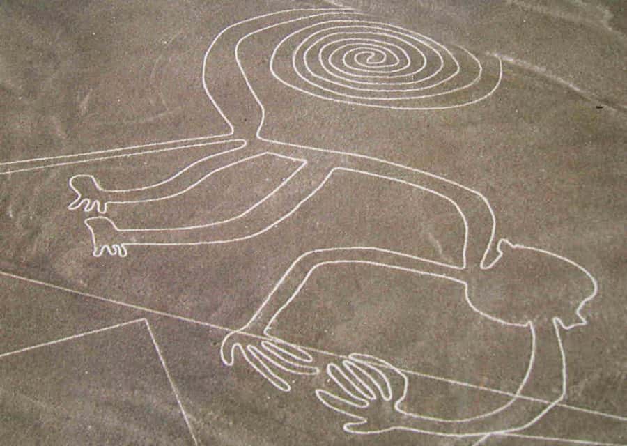From Ica: Flight over the Nazca Lines - The Plane Experience: Small Group, 2 Crew, Real Window Time