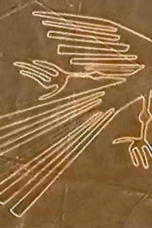From Ica: Flight over the Nazca Lines - What the 35 Minutes Actually Give You