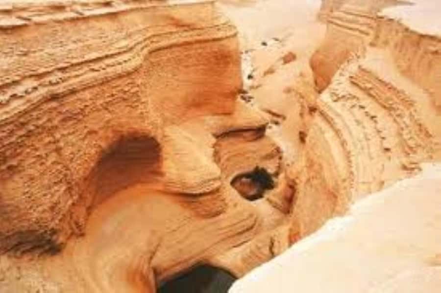 From Ica || Full Day Excursion to Los Perdidos Canyon || - Key highlights worth planning for