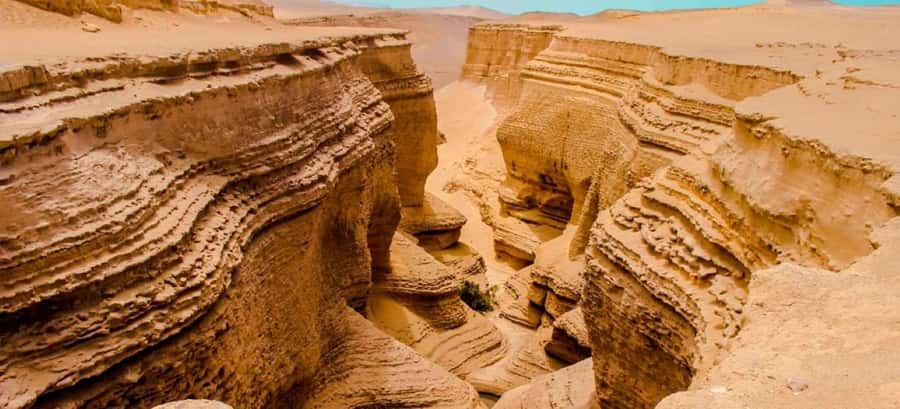From Ica || Full Day Excursion to Los Perdidos Canyon || - Roadside photo stops that teach you what to look for