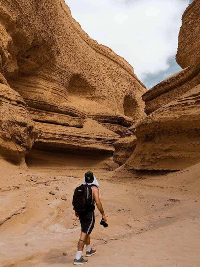 From Ica | Huacachina : Canyon de Los Perdidos | Full Day - Los Perdidos viewpoint: the scale hits, and birds do their job