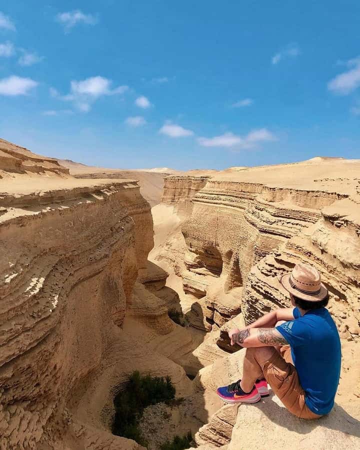 From Ica | Huacachina : Canyon de Los Perdidos | Full Day - Who should book Canyon de Los Perdidos full day