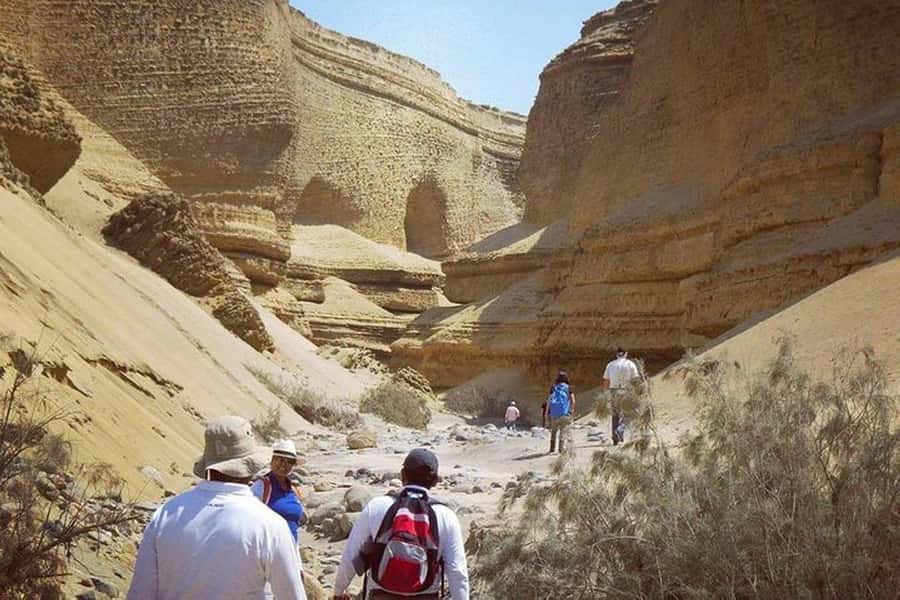 From Ica | Huacachina : Canyon de Los Perdidos | Full Day - My practical tips so the day goes smoothly