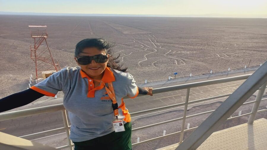 From Ica or Huacachina: Day Trip to Nazca - Panamericana Sur Viewpoint and the Tree, Lizard, and Frog