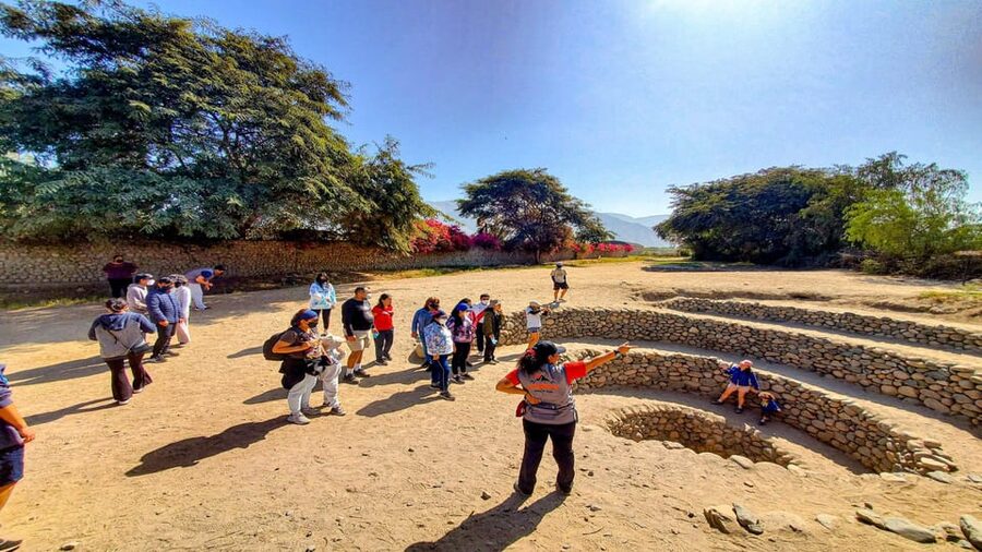 From Ica or Huacachina: Day Trip to Nazca - Price and Value: Is $102 a Good Deal?