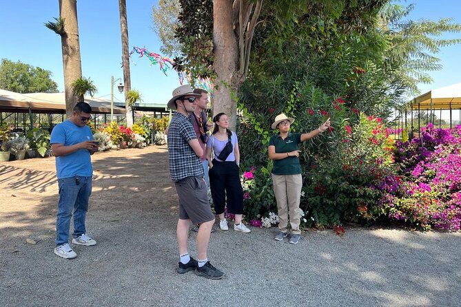 From Ica or Huacachina: Sunset pisco and buggy experience - Stop 1 at Hacienda Tacama (or Vista Alegre on Mondays): where the tasting starts