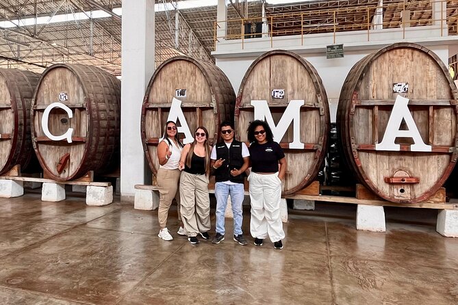 From Ica or Huacachina: Sunset pisco and buggy experience - Price and logistics: is $49 good value for this day?