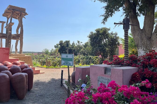 From Ica or Huacachina: Sunset pisco and buggy experience - Tips that make the pisco and desert parts go smoother