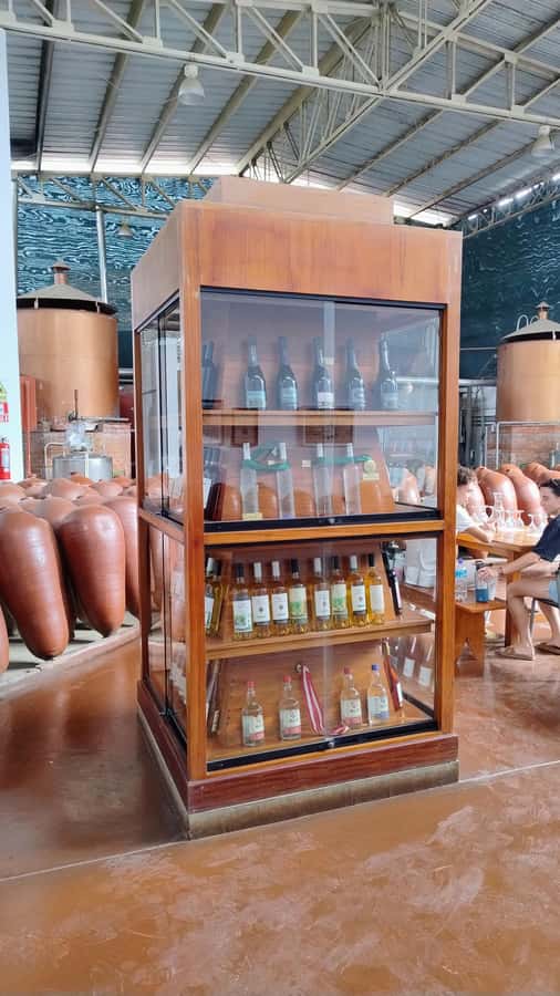 From Ica or Huacachina: Tour to Tacama Vineyard and Artisanal Winery. - What exactly is included in tastings, and what’s not