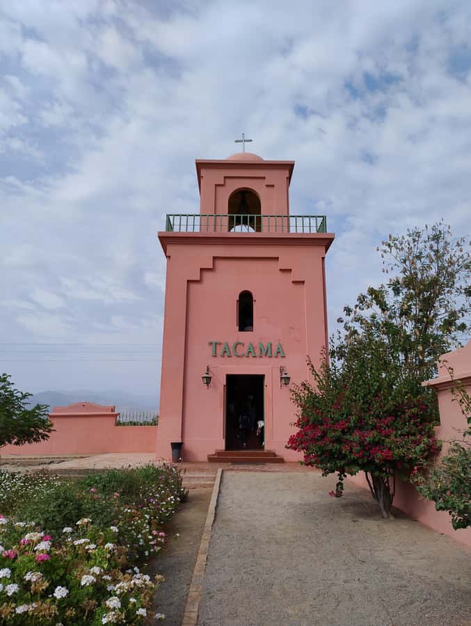 From Ica or Huacachina: Tour to Tacama Vineyard and Artisanal Winery. - What to bring for comfort, photos, and a smooth tasting day