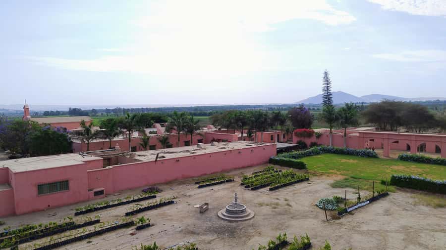 From Ica or Huacachina: Tour to Tacama Vineyard and Artisanal Winery. - Who this tour fits best, and who might want a different plan