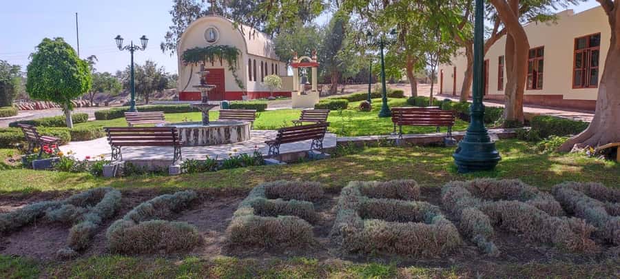 From Ica or Huacachina: Tour to Tacama Vineyard and Artisanal Winery. - Hacienda Tacama: the oldest winery stop and what you’ll do there