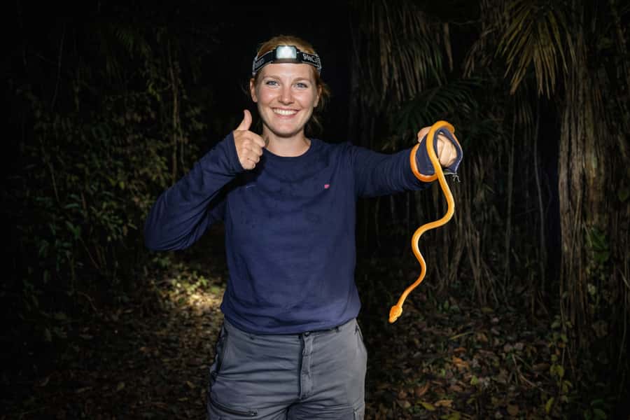 From Iquitos: 3-Day Amazon Jungle Adventure Trip - Should You Book Yakumama’s 3-Day Amazon Jungle Adventure?