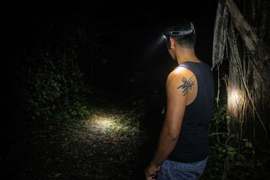 From Iquitos: 3-Day Amazon Jungle Adventure Trip - Day 3 Botanical Plant Walk for Lianas and Medicinal Knowledge