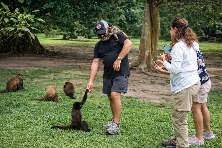 From Iquitos: 3-Day Amazon Jungle Adventure Trip - Price and Value from Iquitos, What $467 Buys You