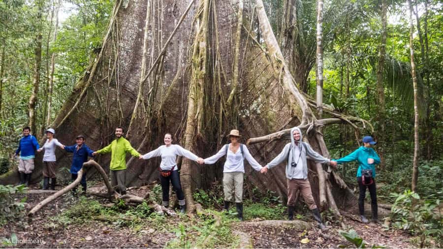 From Iquitos: Full day tour in the Peruvian jungle - Key highlights at a glance