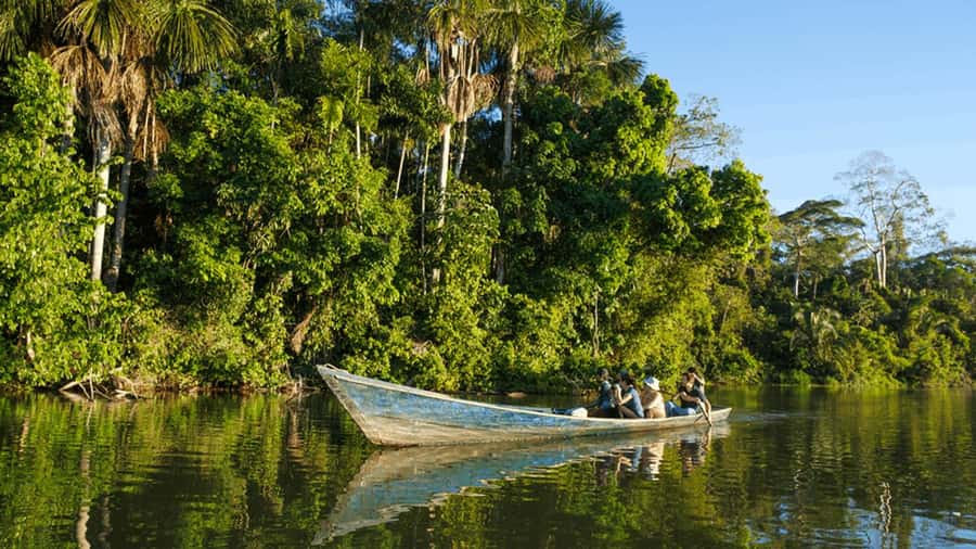 From Iquitos: Full day tour in the Peruvian jungle - Itaya River cruising and the Amazon dolphin chance