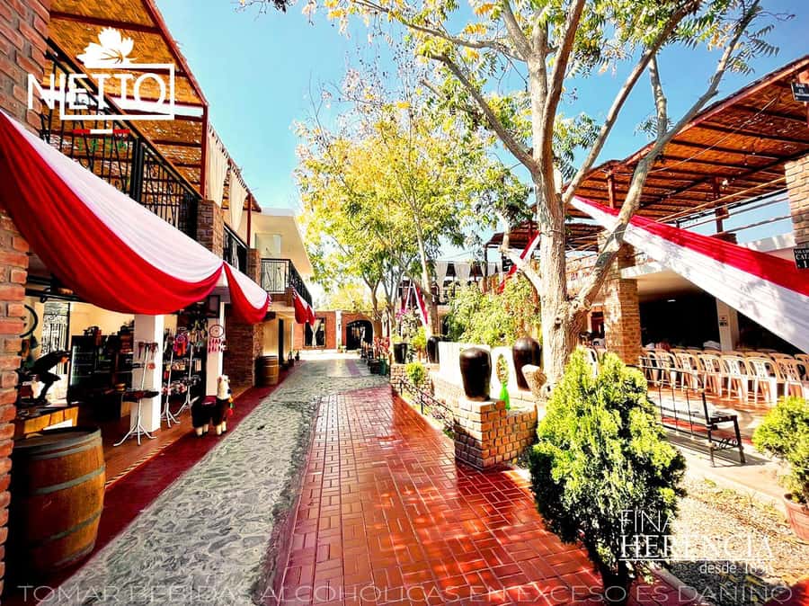 From Lima 2 days 1 night, Ballestas,Huacachina & Nazca lines - Transfer to Nazca: arriving with enough time to reset for the flight