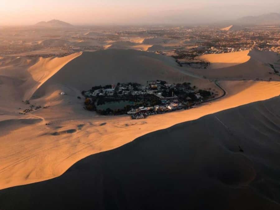 From Lima: Ballestas Islands and Huacachina Sunset Day Trip - Key Highlights You’ll Care About