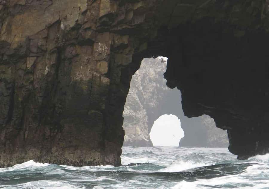 From Lima: Ballestas Islands and Huacachina Sunset Day Trip - Ballestas Islands by Boat: Wildlife, Birds, and the Main Show