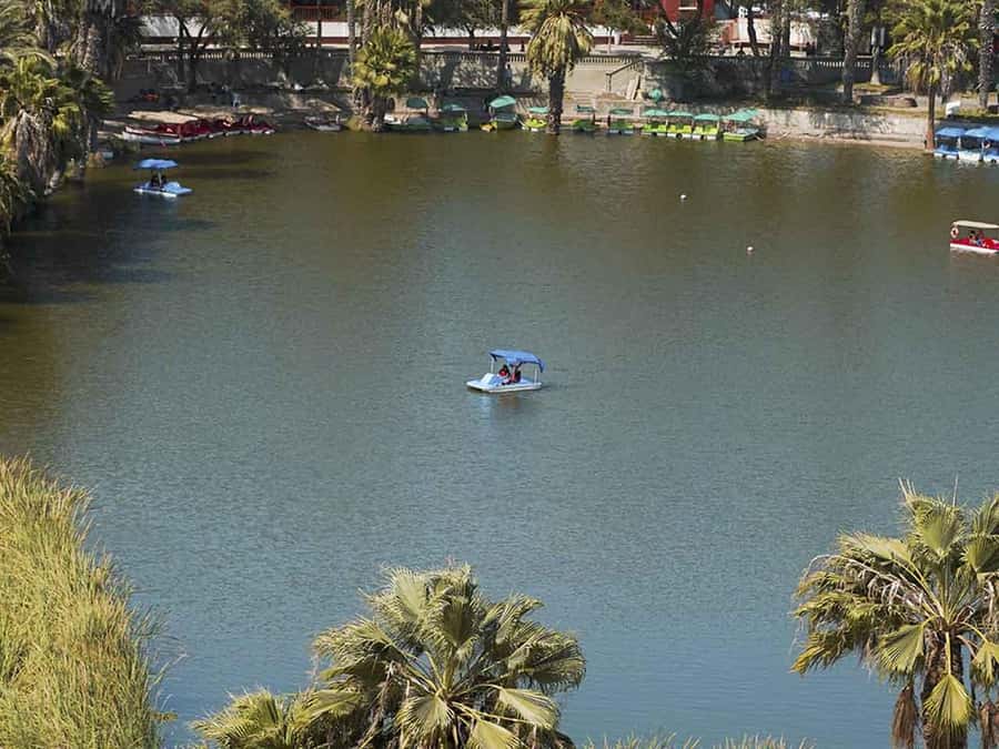 From Lima: Ballestas Islands and Huacachina Sunset Day Trip - Huacachina Arrival: Quick Explore Before the Adventure Starts