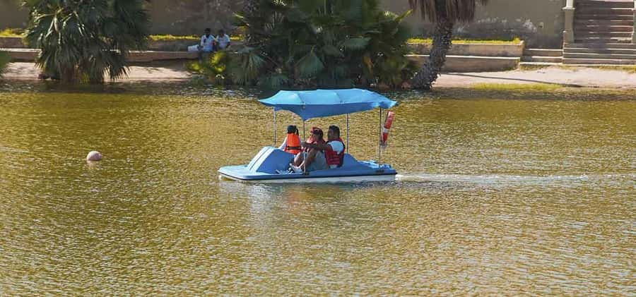 From Lima: Ballestas Islands and Huacachina Sunset Day Trip - Huacachina Sunset: Why the Timing Matters
