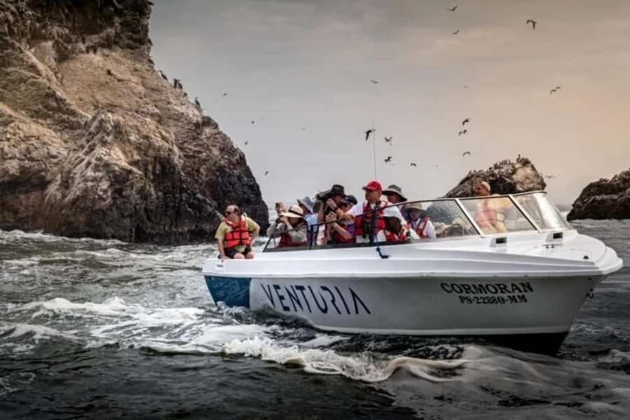 From Lima: Day trip to Paracas, Ica and Oasis Huacachina - Guides and the pace: what makes this feel well organized